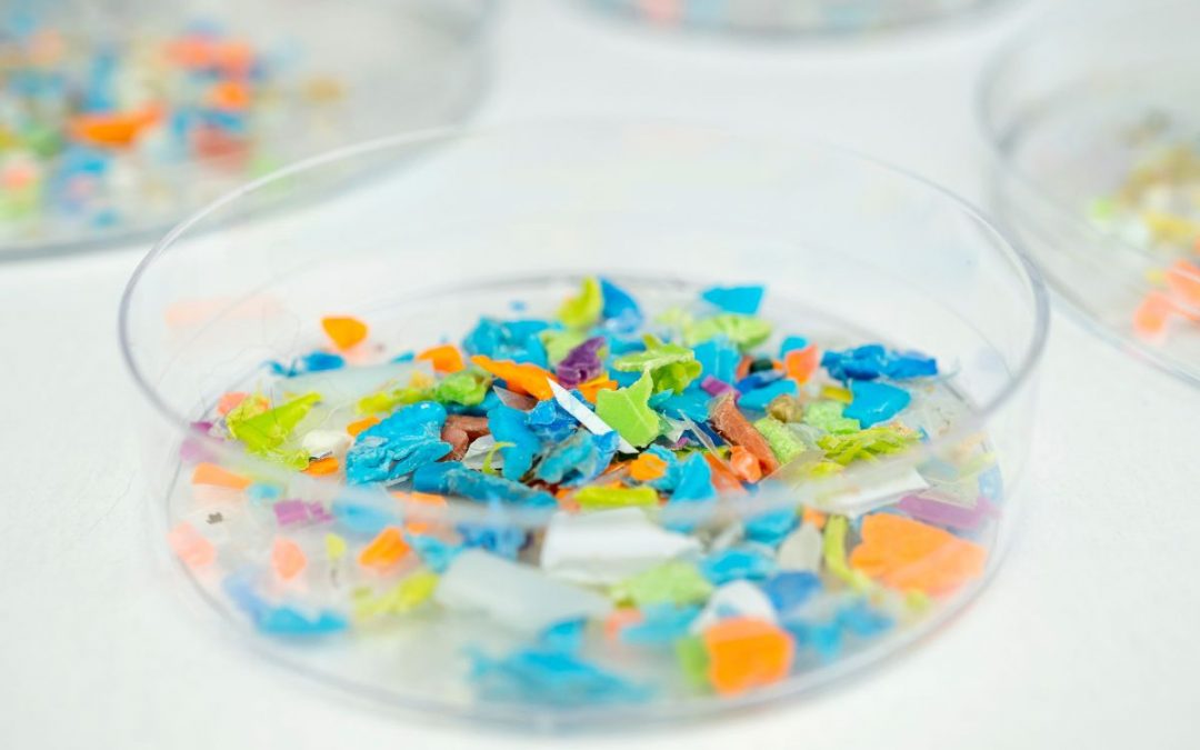 Gefährliches Nanoplastik: Wie Gallium bei der Identifizierung helfen könnte 